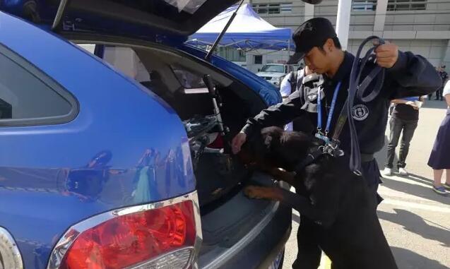 大型活动还有警犬检查